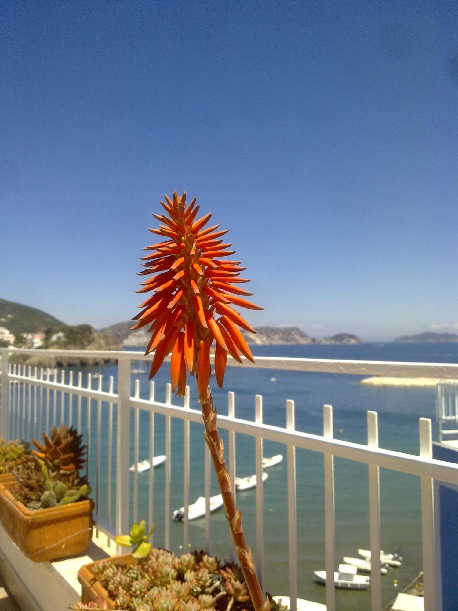 Hotel La Baia Понца Экстерьер фото